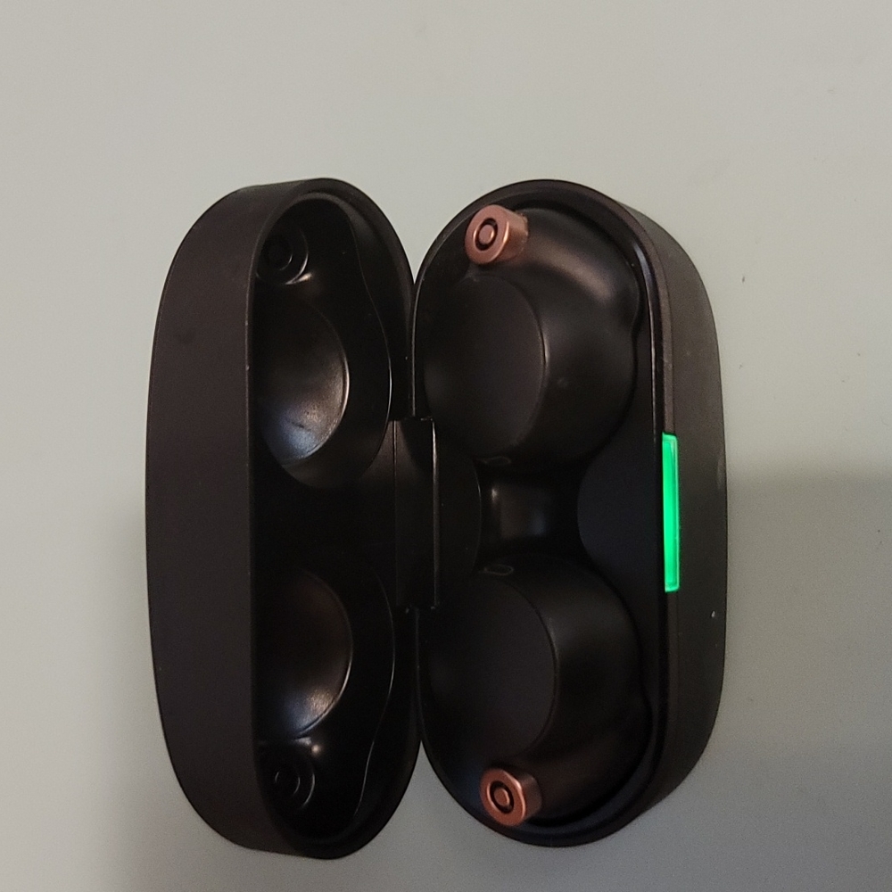 Sony Noise Canceling Earbuds
